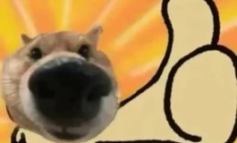 先纳信开箱之S161