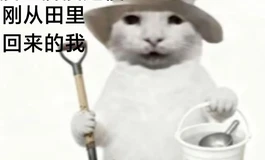 硅胶的软度终究是比不上TPE吗