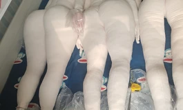 等身布偶抱枕内置实体娃娃骨架