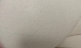 Sigafun 032+露娜软头测评