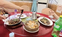 猴王和阿鑫强抢走鸟王的天使萌