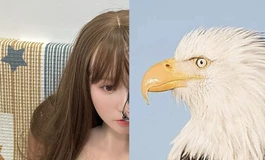 猴王和阿鑫强抢走鸟王的天使萌