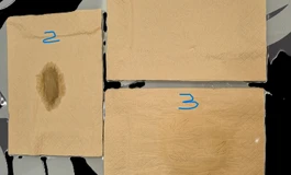 娃娃学姐&奈也-生鱼片使用体验(内有360°展示)