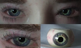 实体娃娃眼睛42-45