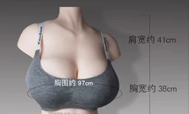 匈奴宝马—亚娃半身简单开箱