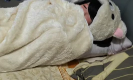 shedoll2.0闭眼北栀➕152硅胶身体客户返图