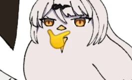 大佬们，安迪162和学姐170哪个好