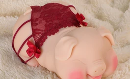 另类手办，小猪