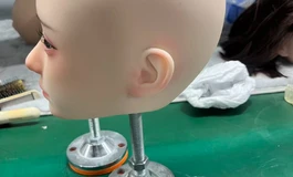 圣杯大哥哥日记 安迪伊娃