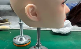 圣杯大哥哥日记 安迪伊娃