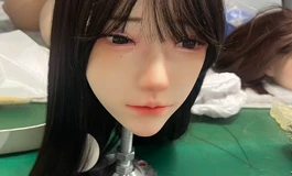 圣杯大哥哥日记 安迪伊娃