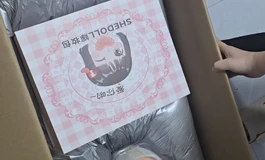 《新娃开箱—shedoll江小婉3.0头雕+硅胶身体》