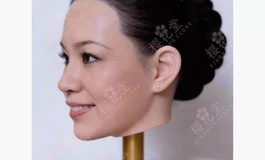 樱花堂仿真来图定制