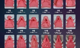 悦互动最近下体肛门通道更新