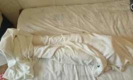 新娃开箱——Shedoll南溪2.0+148硅胶体