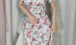 大夫人的花花旗袍