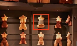 继(音道言)后第二问此半身出自哪个品牌