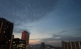 40斤半身到货，泰健源家，不是钙片那个。