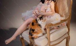 花会凋谢，花中影却不散