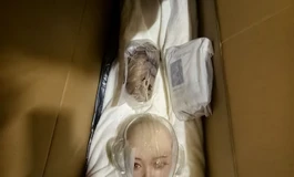 草莓园开箱~我妻白桃是少萝