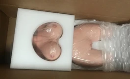 分享Avadoll的硅胶半身开箱与测评