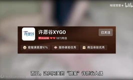 许愿谷是哪家转生的？