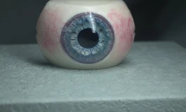 冬天吃香菜的077眼睛