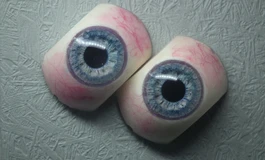 冬天吃香菜的077眼睛