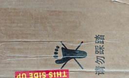 发个娃娃学姐165F开箱