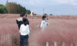 【娃娃学姐】一年四季，她穿成这样，你确定不看？