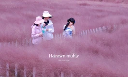 【娃娃学姐】一年四季，她穿成这样，你确定不看？