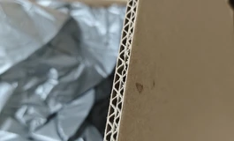 YUDOLL 玉玉精妆硅胶头雕+166cm巨乳STPE身体