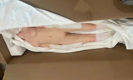 新娃开箱—SHEDOLL1.0洛小乙+150身体