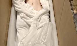 安迪伊娃165加伊星冉