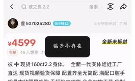 《寻找被骗的小蒜头②》