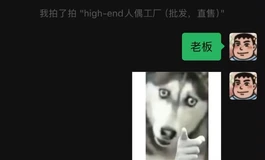 《寻找被骗的小蒜头②》