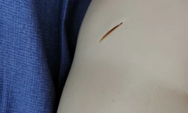 新手第一次硅胶娃娃体验后感想来说